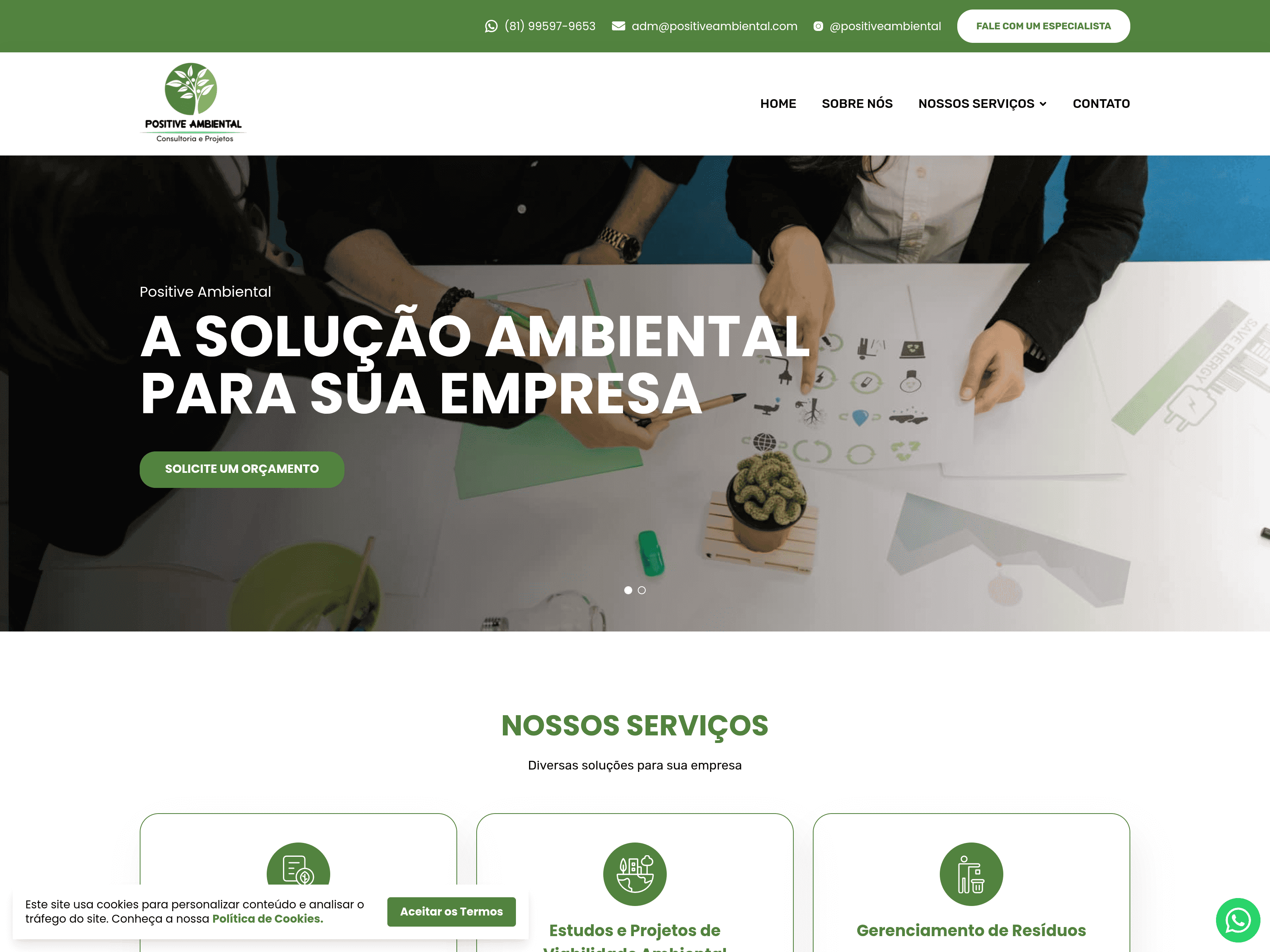 Positive Ambiental — Site